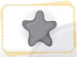 Hãy quan sát các hình dưới đây và cho biết nước ở thể nào. Viết câu trả lời vào chỗ (...).