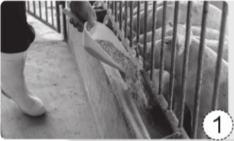 Viết việc cần làm để chăm sóc vật nuôi được thể hiện ở mỗi hình dưới đây. Giải thích vì sao cần làm những việc đó.