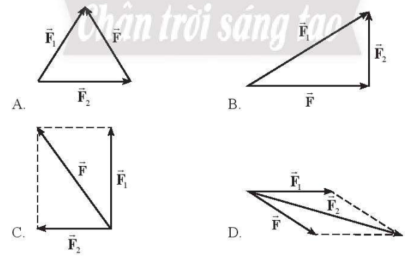 Hình vẽ nào sau đây biểu diễn đúng lực tổng hợp của hai lực F1, F2