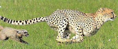  Luyện tập chung - sách giáo khoa (SGK) toán lớp 5 trang 145