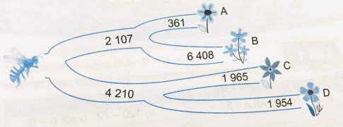 Viết tên bông hoa A, B, C hoặc D thích hợp vào chỗ trống