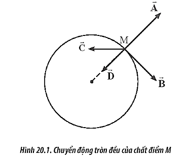 Một chất điểm M thực hiện chuyển động tròn đều như Hình 20.1.