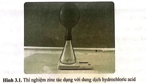  Cho khoảng 10 ml hydrochloric acid vào bình tam giác và cho một vài viên zinc (Zn) vào quả bóng bay, cân khối lượng của quả bóng bay và bình tam giác. Giả sử chỉ số hiện trên cân điện tử là m1.