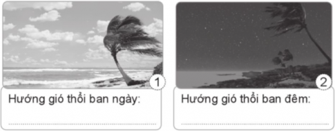 a) Viết hướng gió thổi giữa biển và đất liền vào ban ngày và ban đêm dưới mỗi hình.    b) Từ hướng gió như vậy cho biết ở biển hay đất liền nóng hơn vào