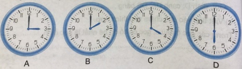 Dùng thước đo góc để đo góc được tạo bởi hai kim đồng hồ