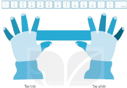  Nối các ngón tay tương ứng với phím phụ trách trên hàng phím số.