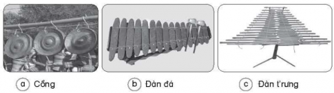 Quan sát hình bên và trả lời các câu hỏi.