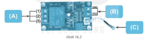 Ghi rõ tên các vị trí tương ứng của mô đun cảm biến ánh sáng XH M131 (Hình 16.2) vào mẫu Bảng 16.2.