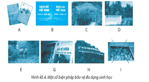 Ở địa phương nơi em sinh sống, các biện pháp nào đã được sử dụng để bảo vệ đa dạng sinh học?