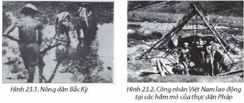 Câu 5. Quan sát các hình 23.1, 23.2 dưới đây, em hãy thực hiện các yêu cầu