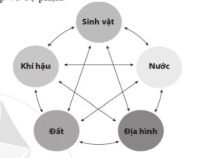 Quan sát hình 14.1, hãy lựa chọn một thành phần tự nhiên để phân tích ảnh hưởng và sự tác động lẫn nhau, phụ thuộc vào nhau với các thành phần tự nhiên khác.