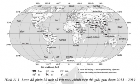 Quan sát hình 21.1, hãy lập bảng thể hiện sự phân bố chủ yếu của các vật nuôi trâu, bò, lợn, cừu, dê, gà trên thế giới. Rút ra nhận xét.