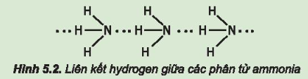 Từ đặc điểm cấu tạo của phân tử ammonia, hãy giải thích tại sao các phân tử ammonia có khả năng tạo liên kết hydrogen mạnh với nhau.