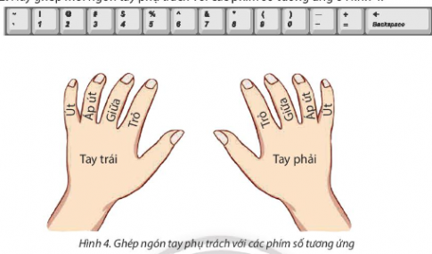 Hãy ghép mỗi ngón tay phụ trách với các phím số tương ứng ở Hình 4.