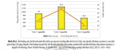 Quan sát Hình 20.2, 20.3 và 20.4, phân tích sự ảnh hưởng của các yểu tố môi trường đến sinh trưởng và phát triển ở thực vật