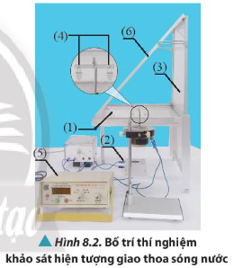  tần số, pha và phương dao động.