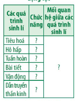 Từ kiến thức đã học và dựa vào Hình 27.3, hãy nêu rõ chức năng và xác định mối qua hệ giữa các quá trình sinh lí trong cơ thể động vật (Bảng 27.1)