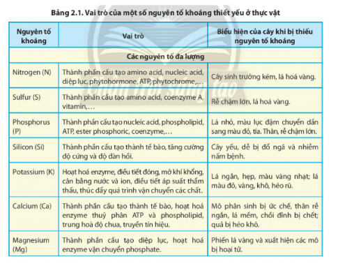 Xem bảng 2.1, Hình 2.2 và liệt kê những biểu hiện của cây khi thiếu các nguyên tố khoáng.