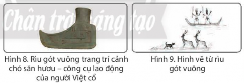 Hình 8 và 9 cho em biết điều gì?