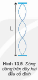 Trên sợi dây đàn hồi, có chiều dài L = 1,2 m người ta tạo ra sóng dừng có hình dạng được mô tả ở Hình 13.6. Biết tần 
