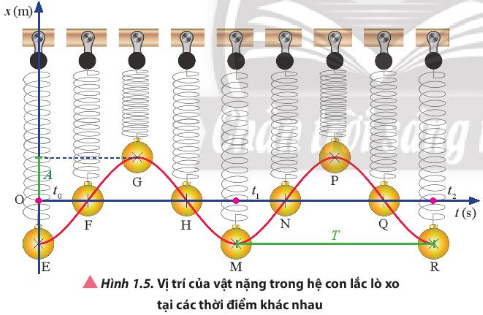   a) Có tọa độ dương, âm hoặc bằng 0.