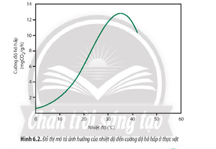 Quan sát Hình 6.2, hãy cho biết nhiệt độ ảnh hưởng như thế nào đến hô hấp ở thực vật.