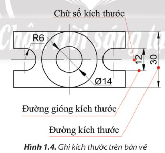 Dựa vào Hình 1.4, hãy cho biết mối quan hệ giữa đường gióng kích thước và đường kích thước.