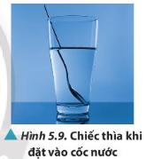 Quan sát Hình 5.9, nhận xét về hình dạng của chiếc thìa. Thực hiện thí nghiệm kiểm chứng và giải thích.