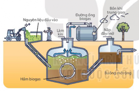 Ô nhiễm môi trường là nguyên nhân dẫn tới biến đổi khí hậu, huỷ hoại môi trường, ảnh hưởng nghiêm trọng tới sức khoẻ, đời sống của con người và gây suy giảm đa dạng sinh học....