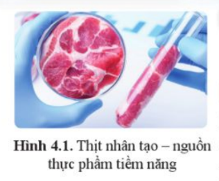 "Thịt nuôi cấy" (thịt nhân tạo, hình 4.1) được sản xuất như thế nào? Sản xuất thịt nuôi cấy mang lại những lợi ích tiềm năng gì đối với con người?