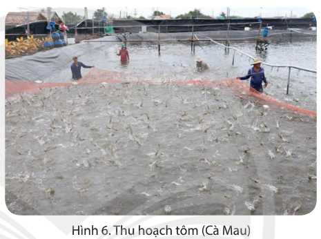   - Kể tên một số tỉnh nuôi trồng thủy sản ở vùng Nam Bộ  - Cho biết vai trò của hoạt động nuôi trồng thủy sản ở vùng Nam Bộ