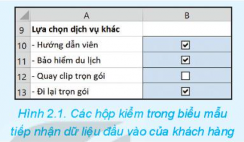 Quan sát và thảo luận về tác dụng của việc sử dụng các hộp kiểm trong Hình 2.1