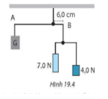 19.4. Một học sinh tạo ra một đồ chơi thăng bằng như Hình 19.4