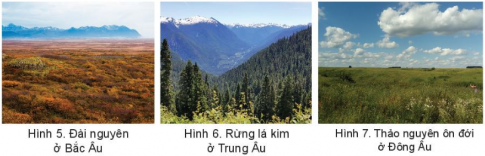 Giải bài 1 Vị trí địa lí, đặc điểm tự nhiên châu Âu