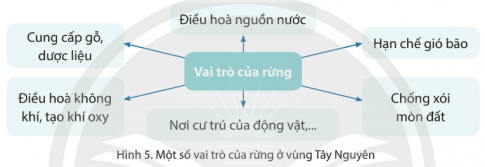  - Kể tên một số vườn quốc gia, các kiểu rừng chủ yếu ở vùng Tây Nguyên.  - Nêu vai trò của rừng và một số biện pháp bảo vệ rừng ở vùng Tây Nguyên.