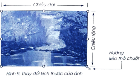Hình 9 thể hiện thao tác kéo thả chuột tại điểm mốc ở góc phải, bên dưới của ảnh. Phát biểu nào sau đây mô tả đúng sự thay đổi kích thước của ảnh khi thực hiện thao tác này?