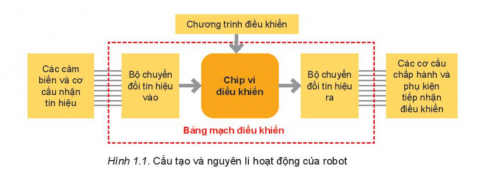 Quan sát Hình 1.1, tìm hiểu cấu tạo chung và nguyên lý hoạt động của robot giáo dục.