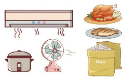 Chia sẻ những yếu tố ảnh hưởng đến quyết định lựa chọn mặt hàng gia đình em muốn mua