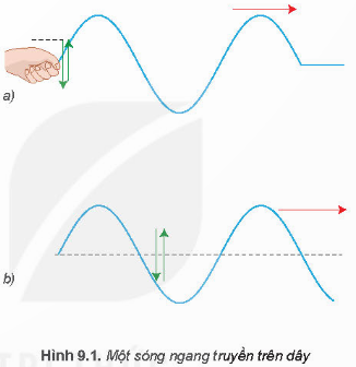 Hình 9.1 mô tả một sóng ngang truyền trên dây dàn hồi. Hãy quan sát các mũi tên, từ đó chỉ ra phương dao động của các phần tử