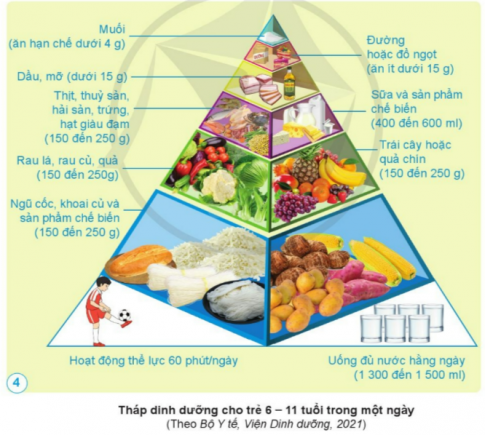 Dựa vào hình 4, nêu tên các nhóm thực phẩm cân thiết cho trẻ 6 - 11 tuổi trong một ngày. Trong đó, thực phẩm nào nên ăn hạn chế, thực phẩm nào nên ăn ít?