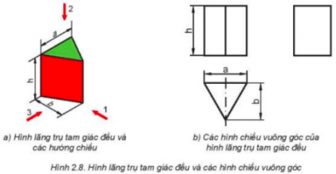  Các bề mặt màu xanh, đỏ trên thực tế là hình gì, có kích thước bằng bao nhiêu?