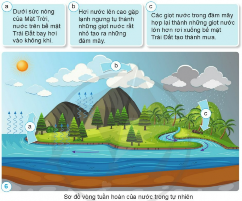 Dựa vào những gợi ý dưới đây, hãy chỉ trên sơ đồ và nói về vòng tuần hoàn của nước trong tự nhiên.