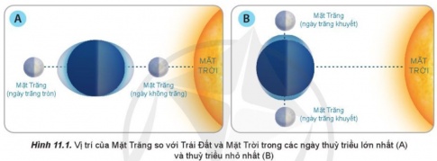 Giải bài 11 Nước biển và đại dương