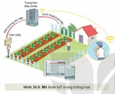 Giải bài 24 Một số công nghệ cao trong trồng trọt