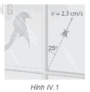 Một con nhện có khối lượng 0,42 g bò trên bề mặt kính cửa sổ một ngôi nhà với tốc độ không đổi 2,3 cm/s theo hướng hợp với phương thẳng đứng một góc như Hình IV.1