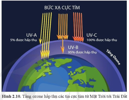 Giải câu hỏi trang 57 chuyên đề vật lí lớp 10 cánh diều