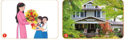 Em hãy quan sát hình dưới đây và nêu lợi ích của hoa, cây cảnh