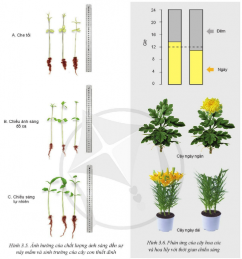 Giải bài 3 Mối quan hệ giữa cây trồng và các yếu tố chính trong trồng trọt