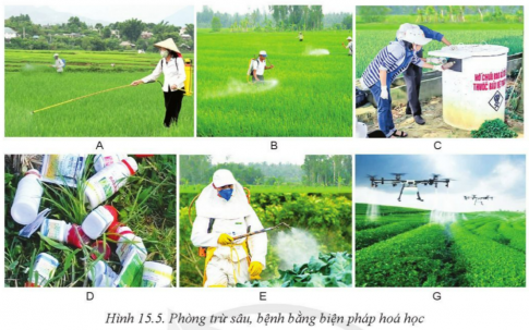 Giải bài 15 Biện pháp phòng trừ sâu, bệnh hại cây trồng