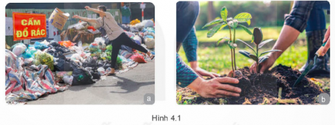 Giải Quốc phòng an ninh 11 Kết nối Bài 4. Một số vấn đề về vi phạm pháp luật bảo vệ môi trường